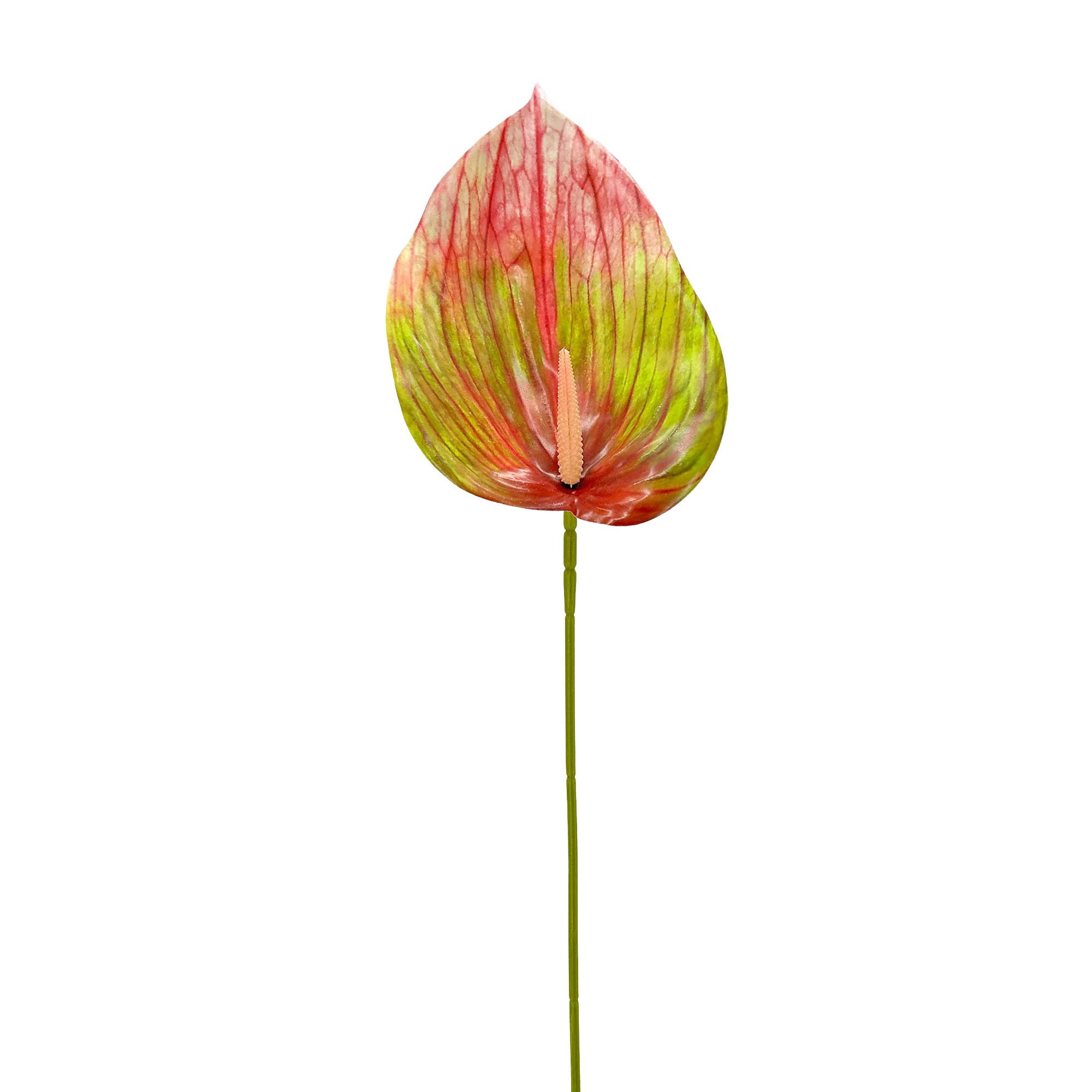 IMG_7142 GNW Gradient Red Artificial Anthurium LRR-287 - Image 1