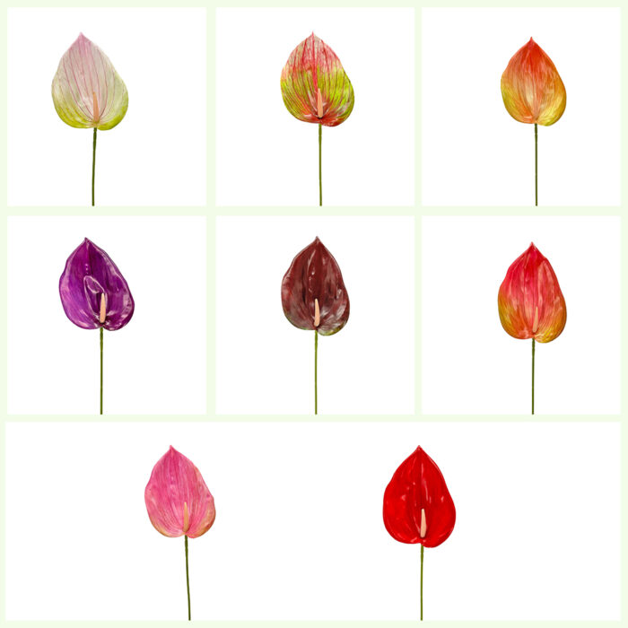 GNW Pink Artificial Anthurium LRR-292 - Image 4