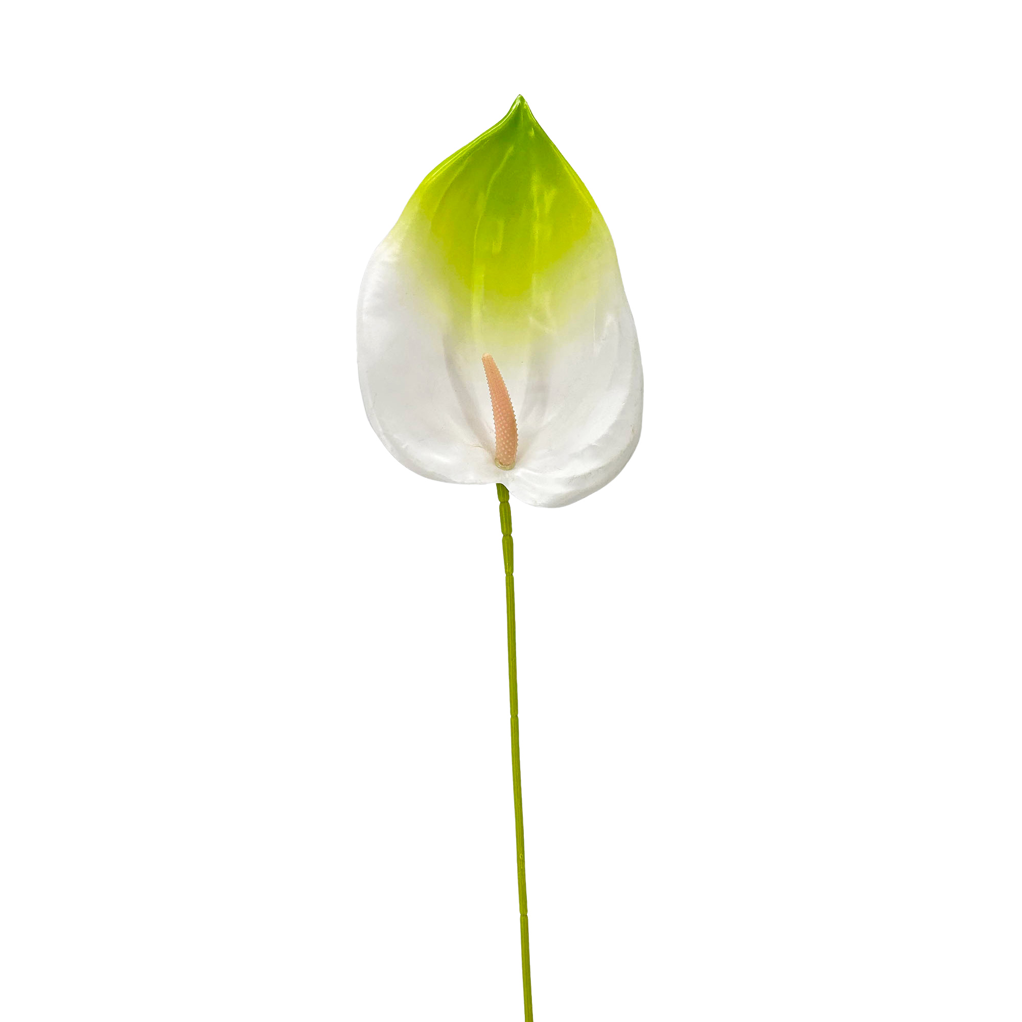 IMG_7154 GNW White Green Artificial Anthurium LRR-282 - Image 1