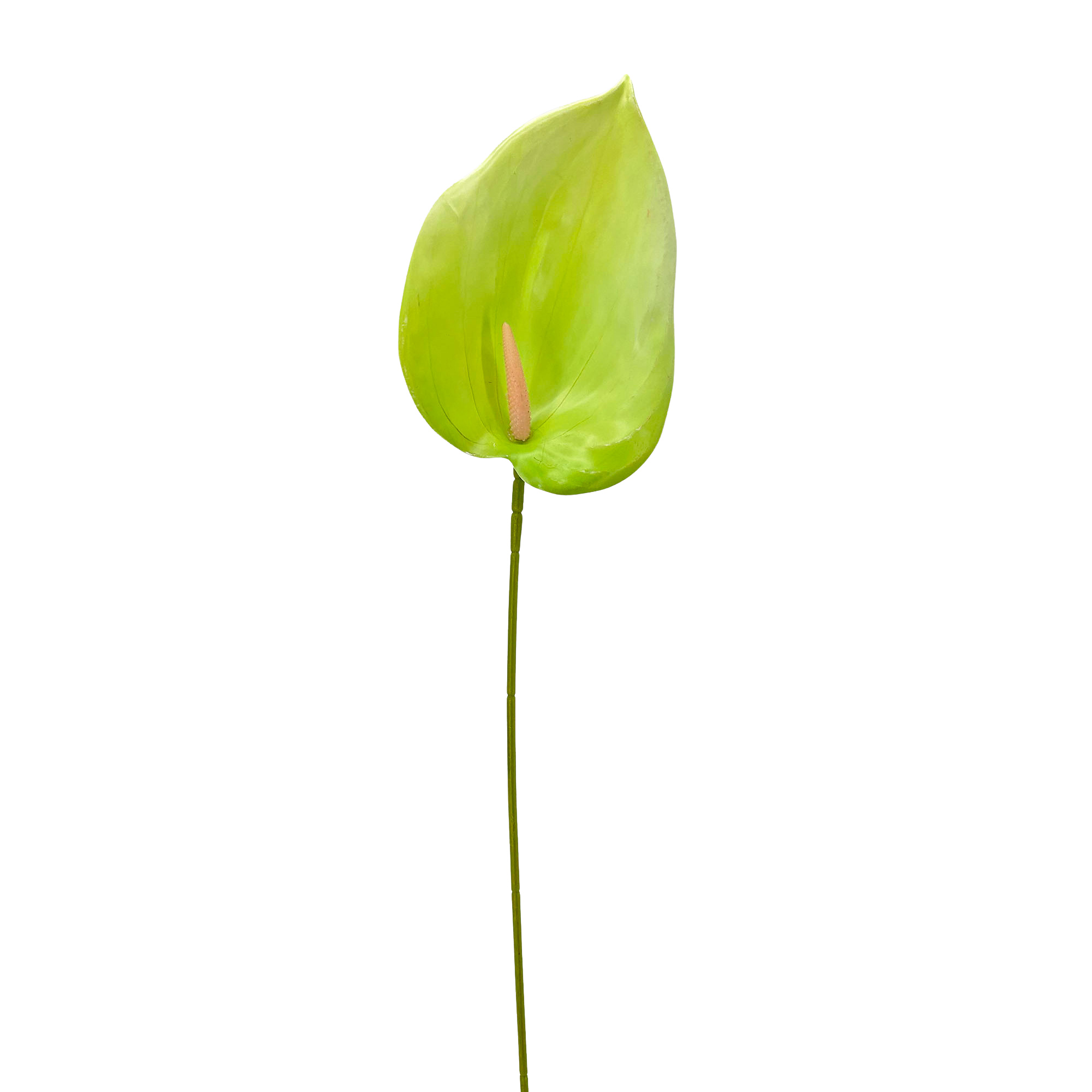 IMG_7158 GNW Green Artificial Anthurium LRR-284 - Image 1