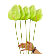 GNW Green Artificial Anthurium LRR-284 - Image 3