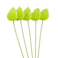 GNW Green Artificial Anthurium LRR-284 - Image 2