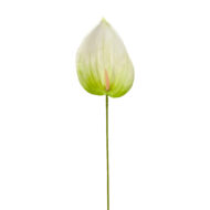 GNW Green Artificial Anthurium LRR-283