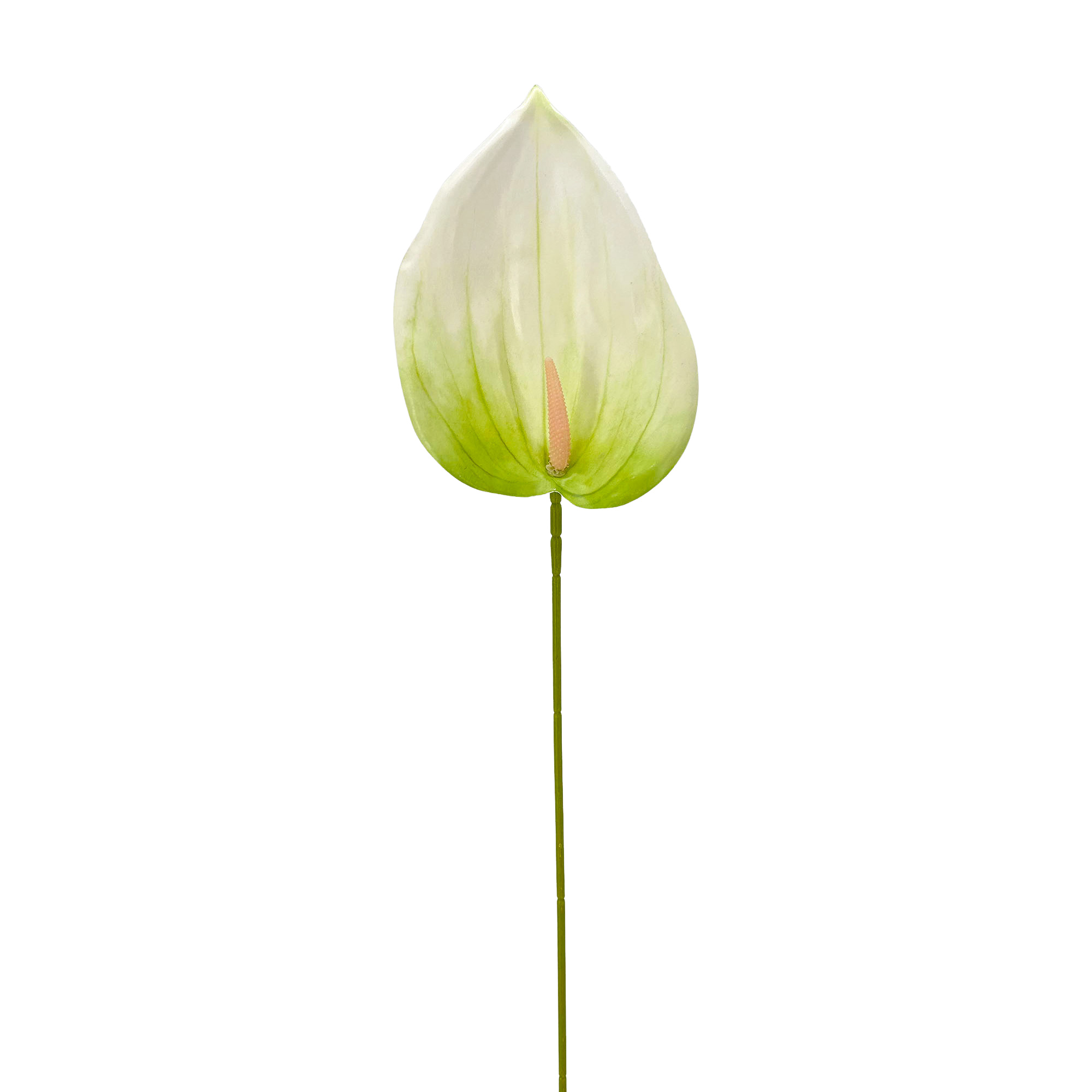 IMG_7162 GNW Green Artificial Anthurium LRR-283 - Image 1