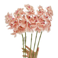GNW Pink Artificial Orchids GYX-28 - Image 3