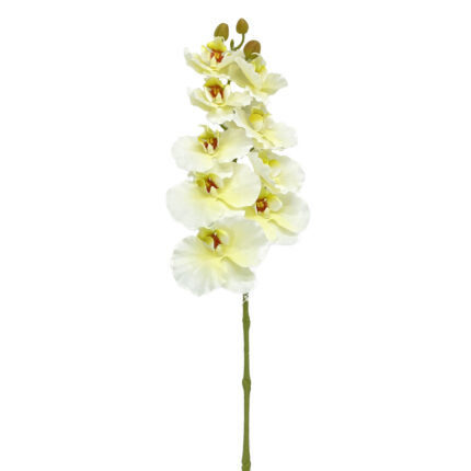 GNW Beige Artificial Orchids GYX-27