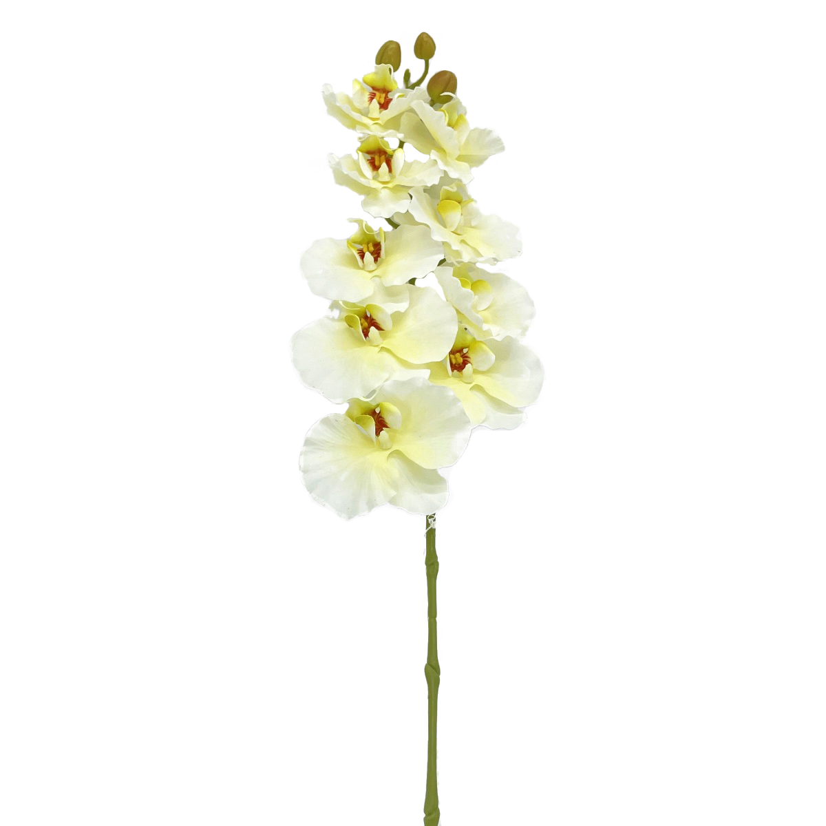 IMG_7357 GNW Beige Artificial Orchids GYX-27 - Image 1
