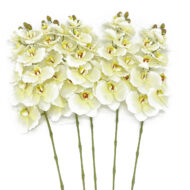 GNW Beige Artificial Orchids GYX-27 - Image 2