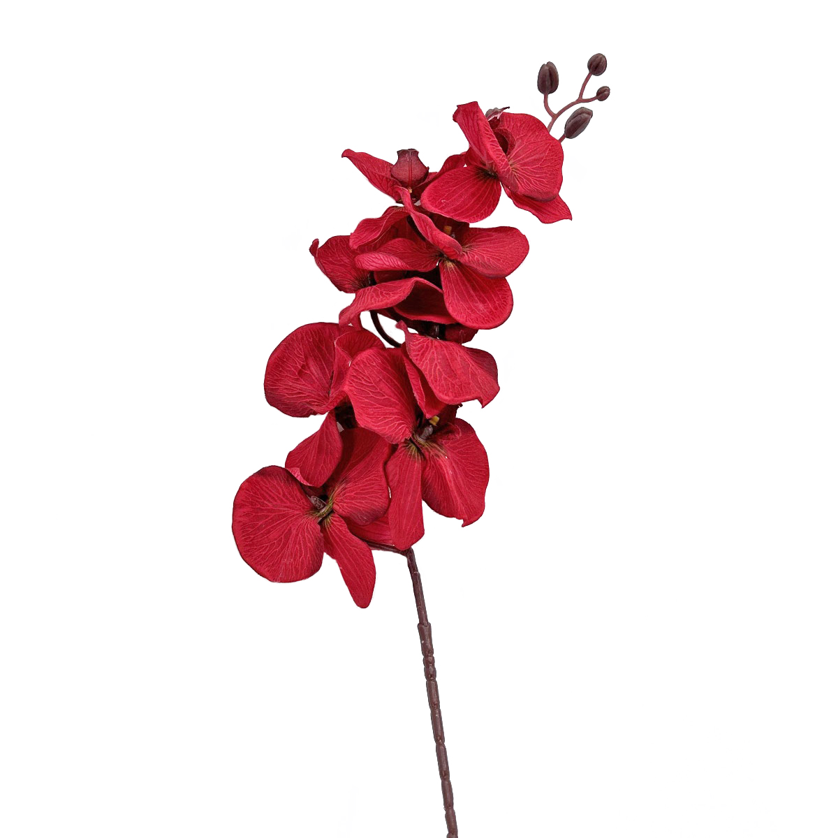 IMG_9086 GNW Red Artificial Orchids HXG-07 - Image 1