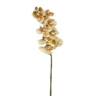 GNW Brown Artificial Orchids Real Touch YW-46 - Image 2