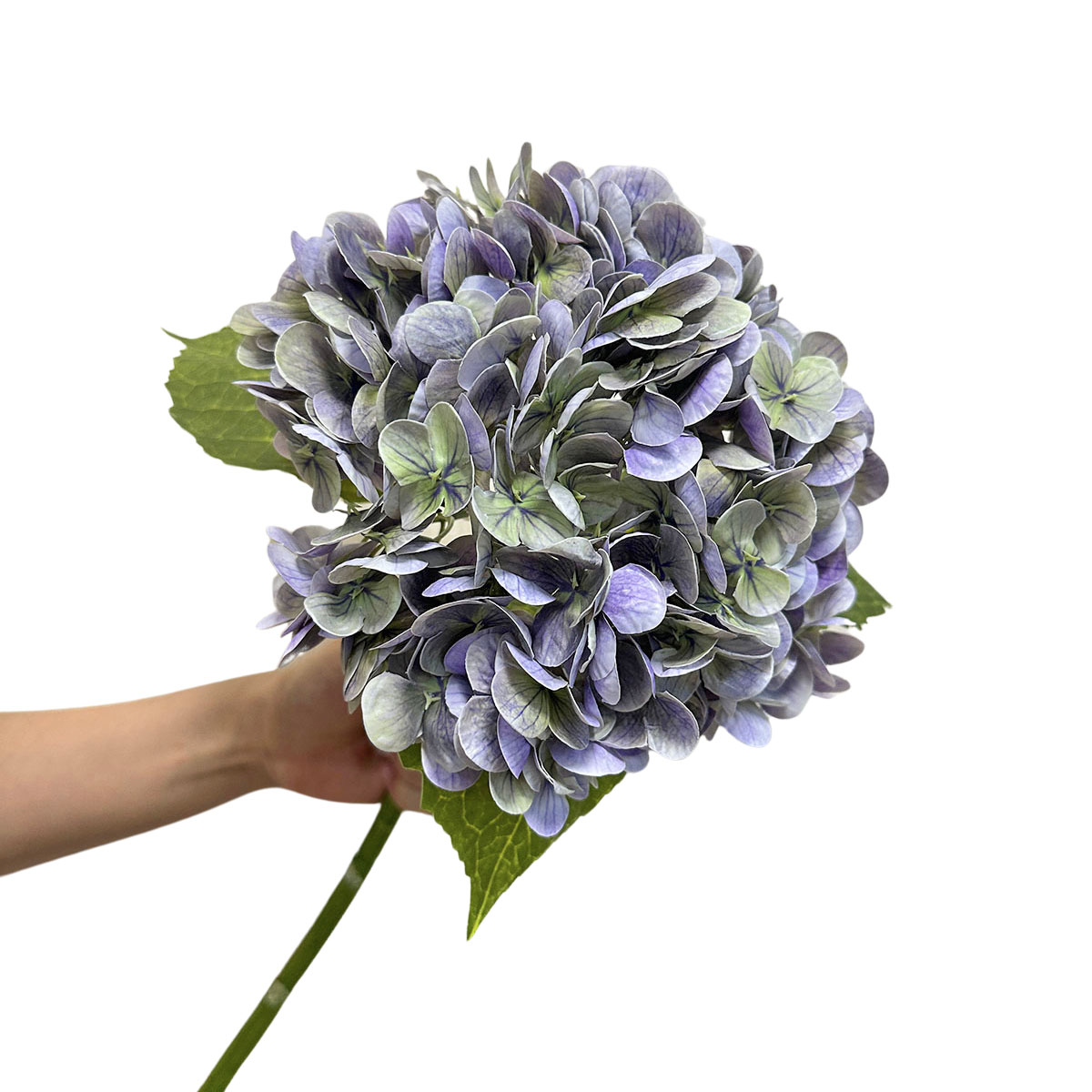 6 GNW Artificial Hydrangea Real Touch MST-26 - Image 1