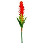 GNW Red Artificial Tropical Bromeliaceae Flower HC-02
