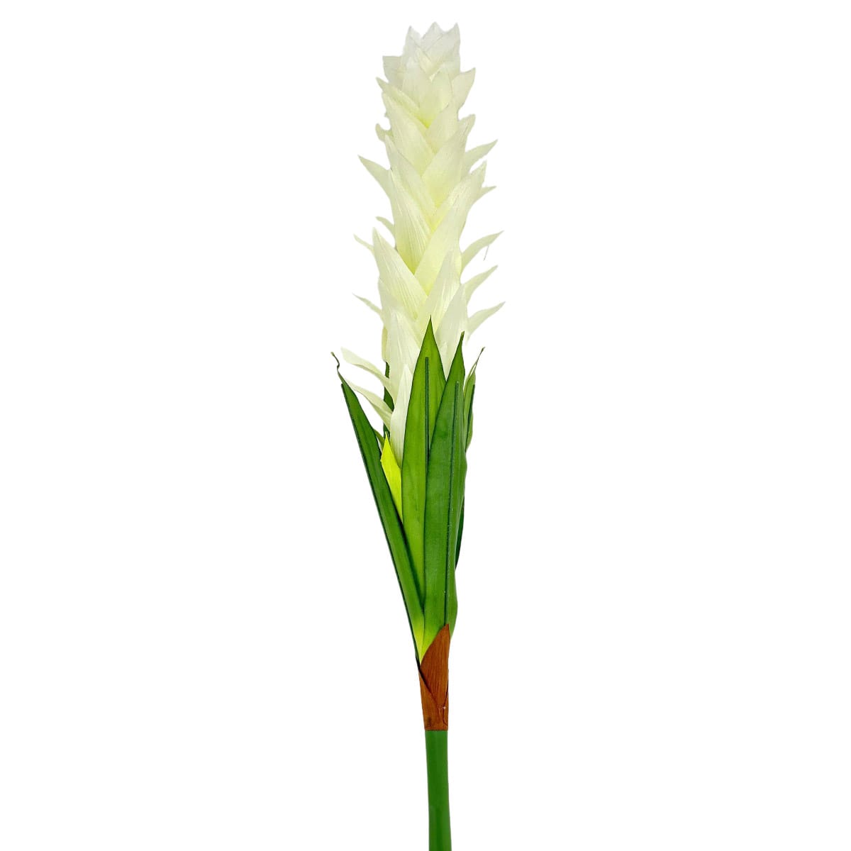 IMG_1427 GNW White Artificial Tropical Bromeliaceae Flower HC-01 - Image 1