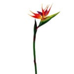 GNW Red Artificial Bird Of Paradise Heliconia Flower HC-04