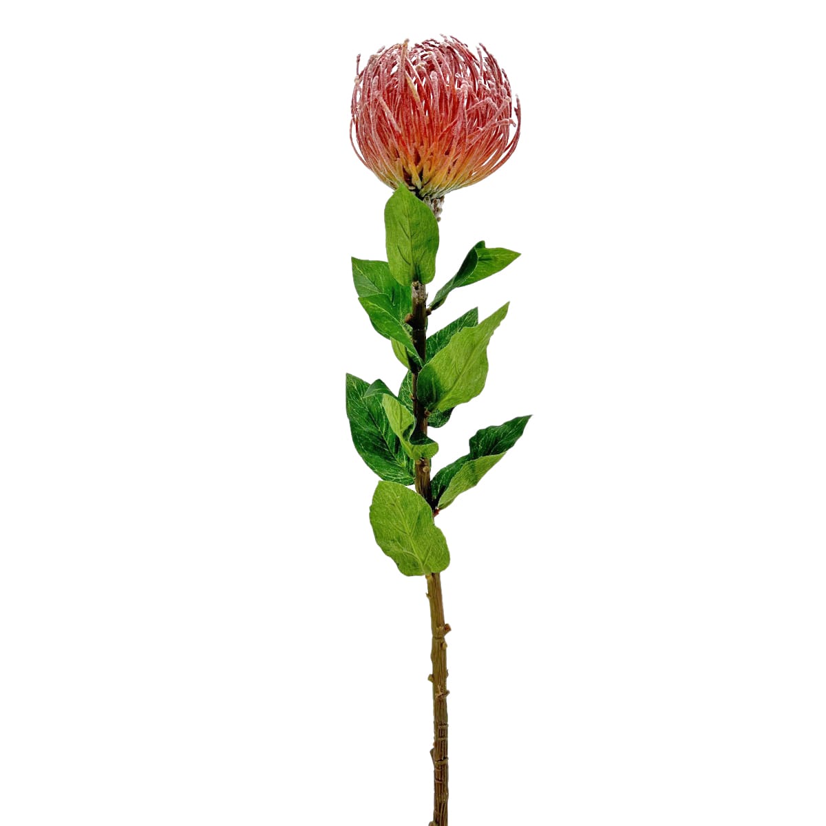IMG_1445 GNW Red Artificial Tropical Cushion Protea Flower HC-08 - Image 1