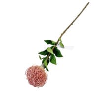 GNW Red Artificial Tropical Cushion Protea Flower HC-08 - Image 2