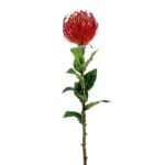 GNW Red Faux Tropical Cushion Protea Flower HC-05