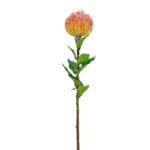 GNW Orange Artificial Tropical Cushion Protea Flower HC-06