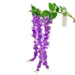 GNW Purple Artificial Wisteria Flowers HYR-25