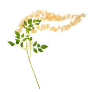 GNW Orange Pink Artificial Wisteria Flowers HYR-14 - Image 2