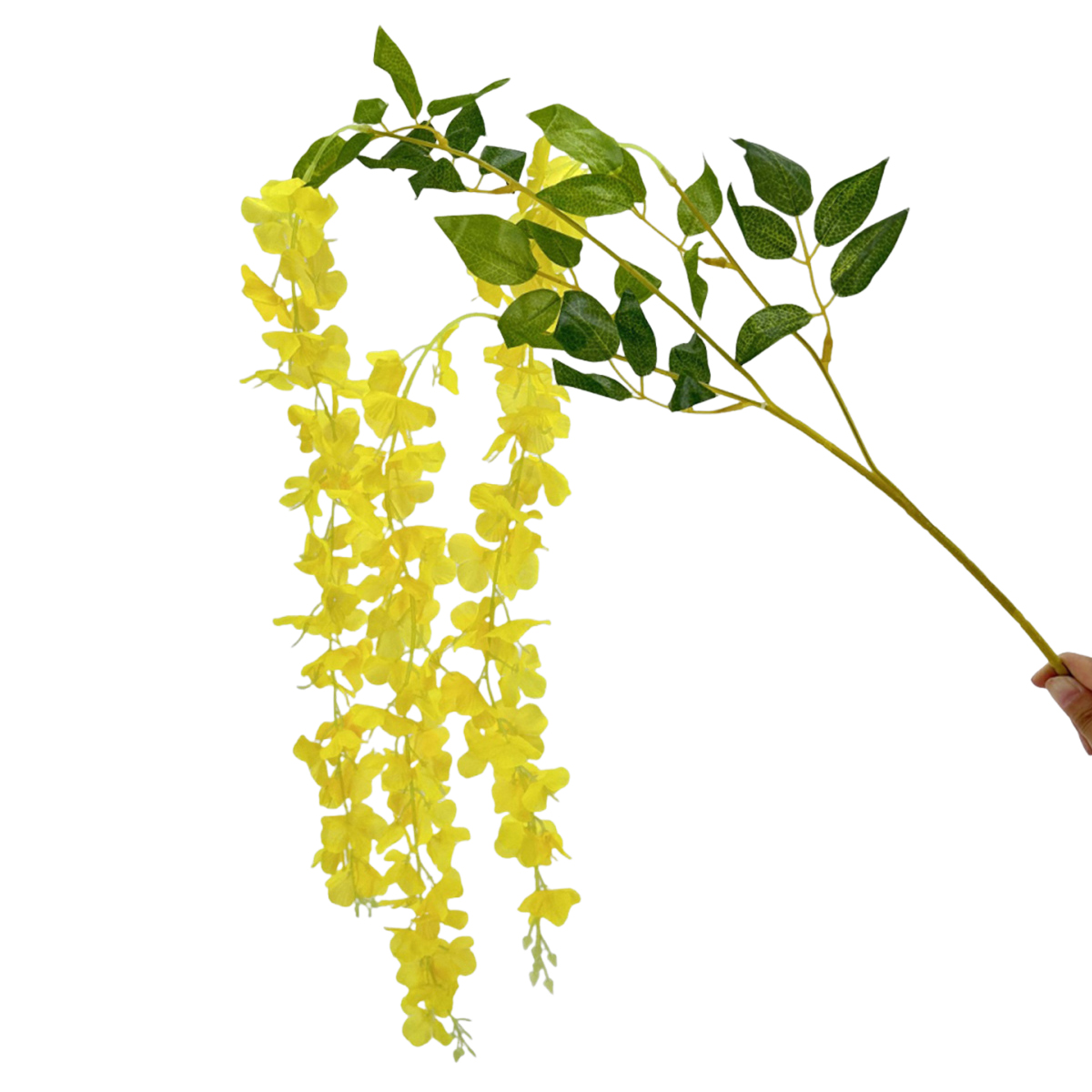 IMG_1614 GNW Yellow Artificial Wisteria Flowers HYR-19 - Image 1