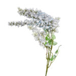 GNW Gray Artificial Wisteria Flowers JX-15