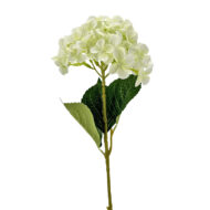 GNW White Green Artificial Hydrangea Silk WXX-08