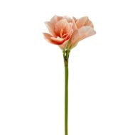 GNW Pink Artificial Amaryllis