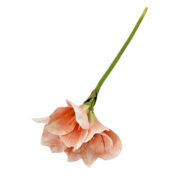 GNW Pink Artificial Amaryllis - Image 2