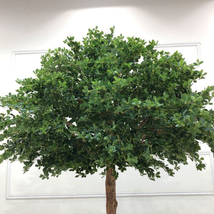 GNW Gary Green Artificial Money Ficus Leaf LZ-102 - Image 4