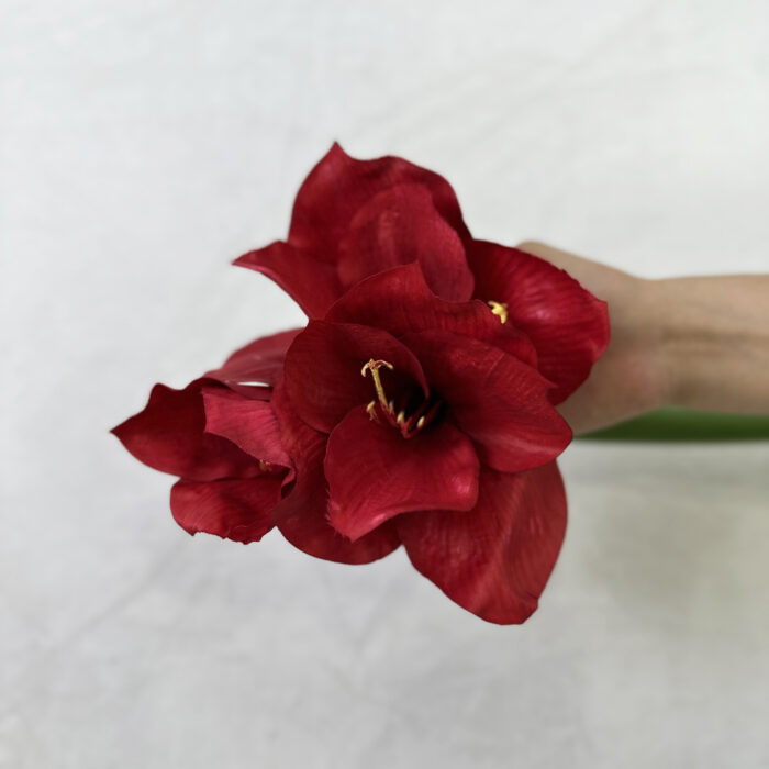 GNW Red Artificial Amaryllis - Image 2