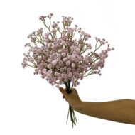 GNW Pink Artificial Baby's Breath YZ-19