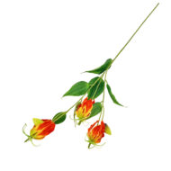 GNW Orange Artificial Lily WX-87 - Image 2