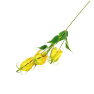 GNW Yellow Artificial Lily WX-133 - Image 2