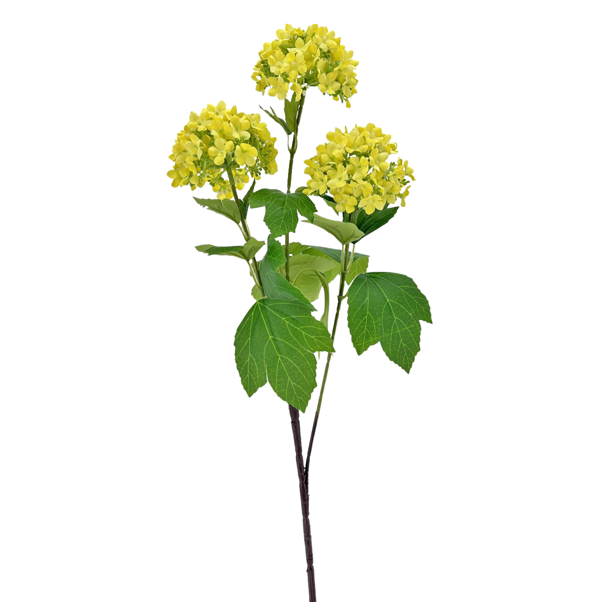 IMG_2888 GNW Yeollow Artificial Sweet Alyssum WX-115 - Image 1