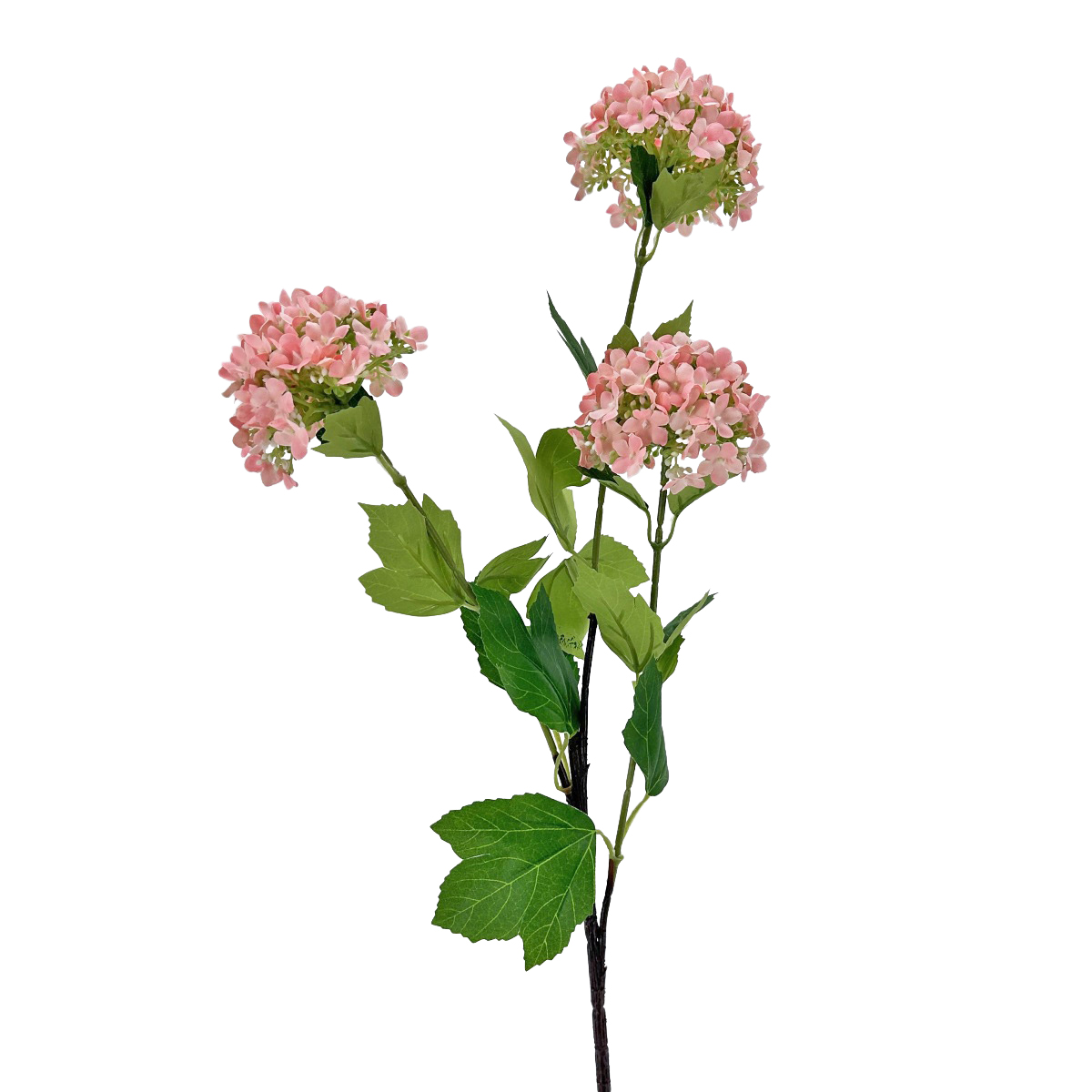 IMG_2896 GNW Pink Artificial Sweet Alyssum WX-113 - Image 1
