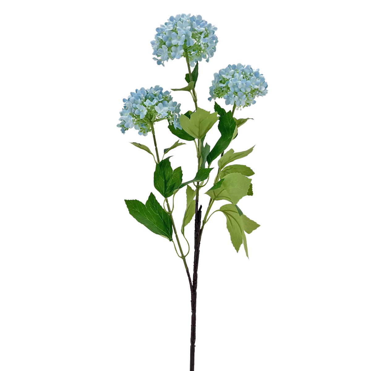 IMG_2900 GNW Blue Artificial Sweet Alyssum WX-116 - Image 1