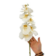 GNW Beige White Artificial Orchids WX-185 - Image 2