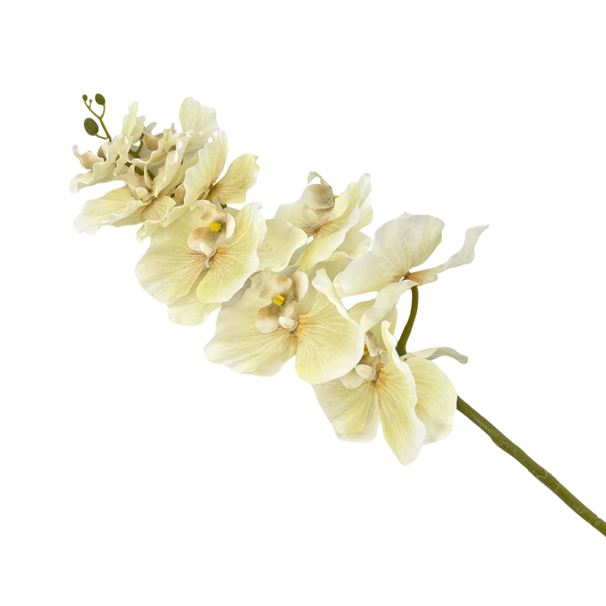 IMG_2934 GNW Beige Artificial Orchids WX-189 - Image 1