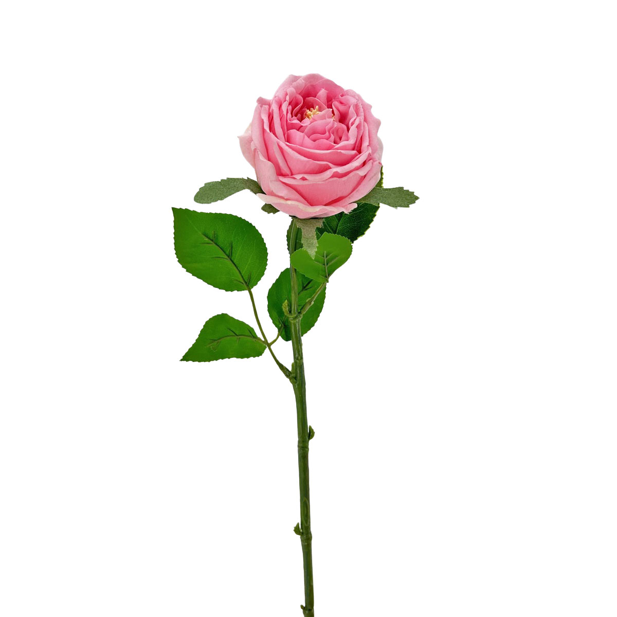 IMG_3090 GNW Pink Artificial Garden Rose Real Touch JM-113 - Image 1