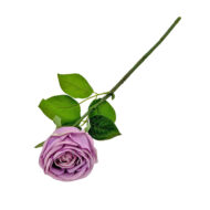 GNW Purple Artificial Garden Rose Real Touch JM-118 - Image 2
