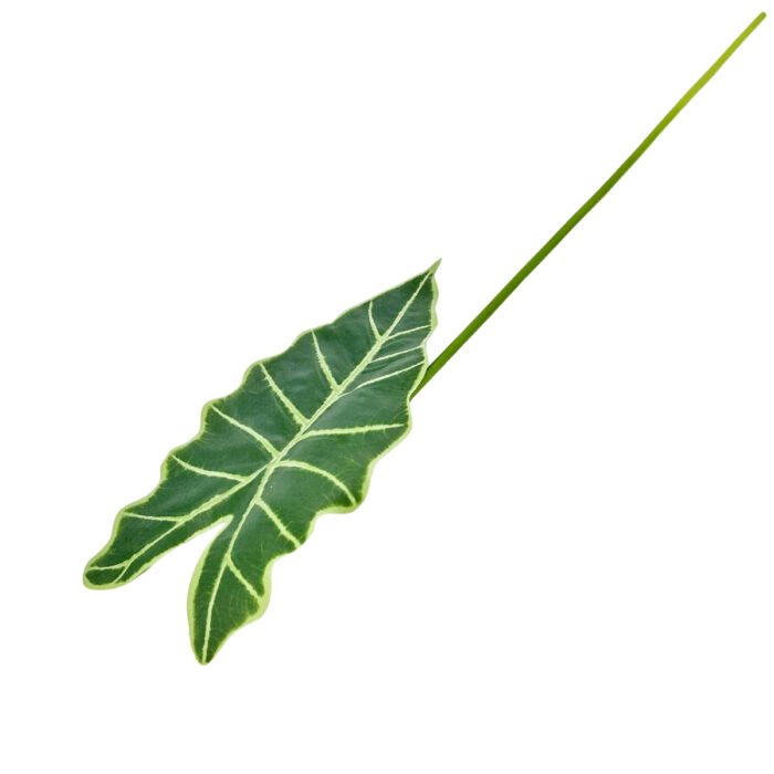 GNW Green Artificial Faux Olive Branch Real Touch MPG-40 - Image 2