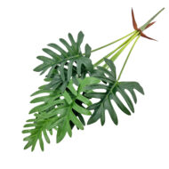 GNW Green Artificial Faux Olive Branch Real Touch MPG-38 - Image 2