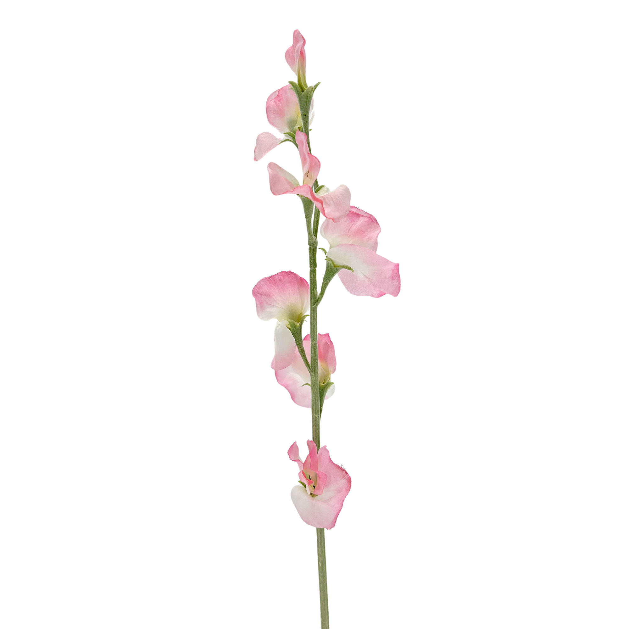 IMG_5609 GNW Pink Artificial Sweet Pea HFF-11 - Image 1
