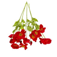 GNW Wine Artificial Poppy JM-42 - Image 2