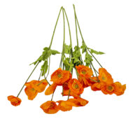 GNW Orange Artificial Poppy JM-40 - Image 2