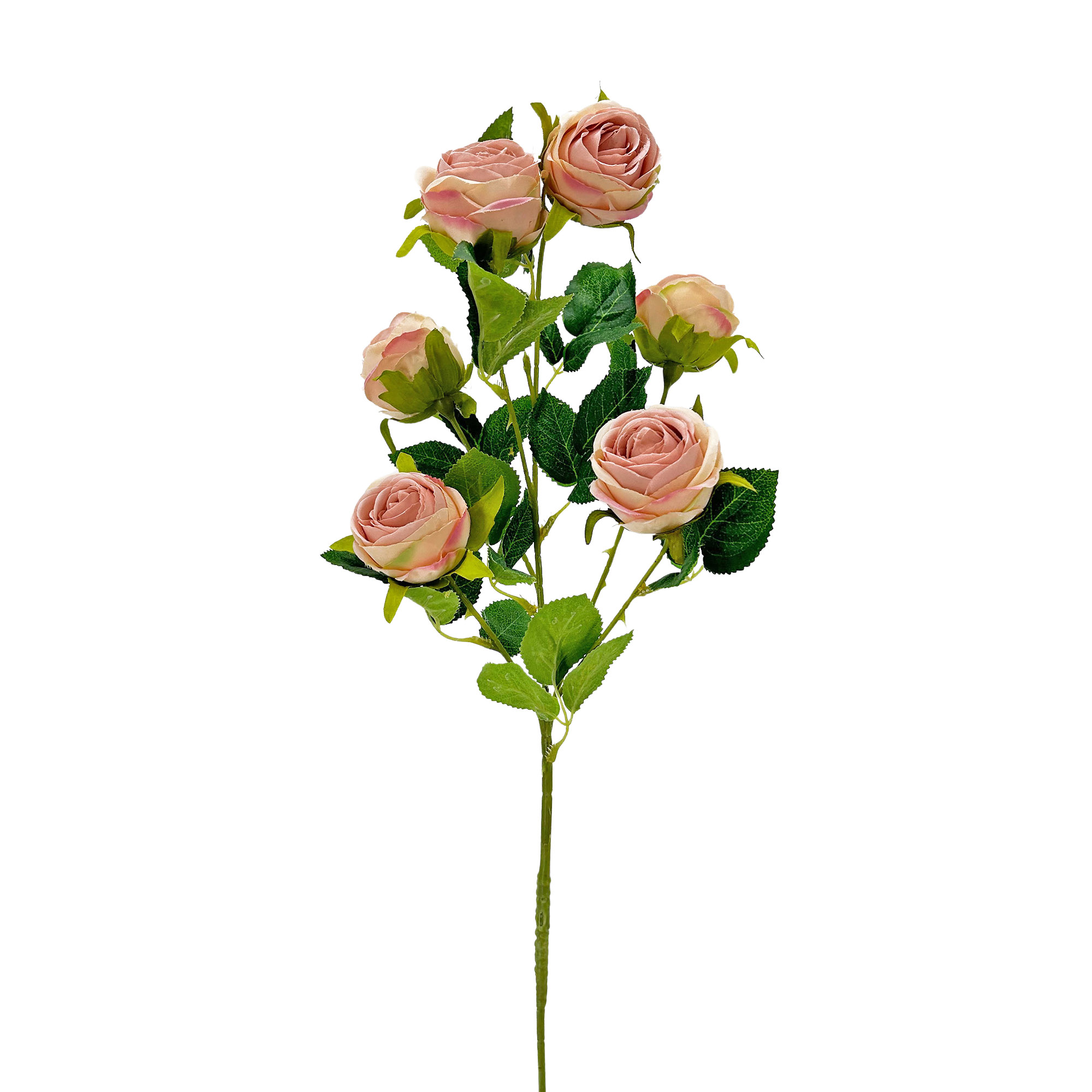 IMG_5791 GNW Light Pink Artificial Garden Rose Silk DH-31 - Image 1