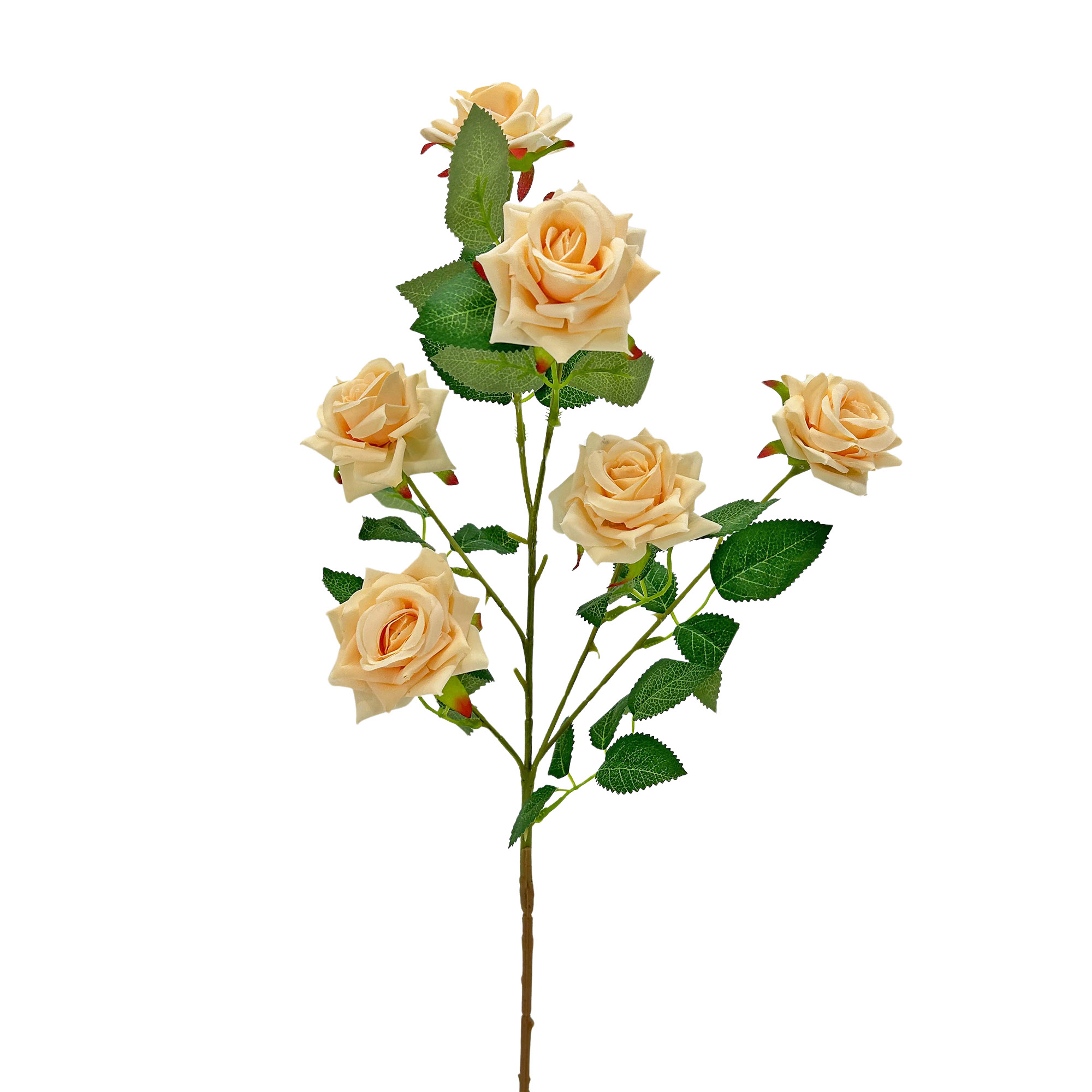 IMG_5871 GNW Champagne Artificial Garden Rose With Sharp Tips DH-34 - Image 1