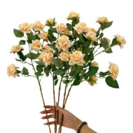 GNW Champagne Artificial Garden Rose With Sharp Tips DH-34 - Image 3