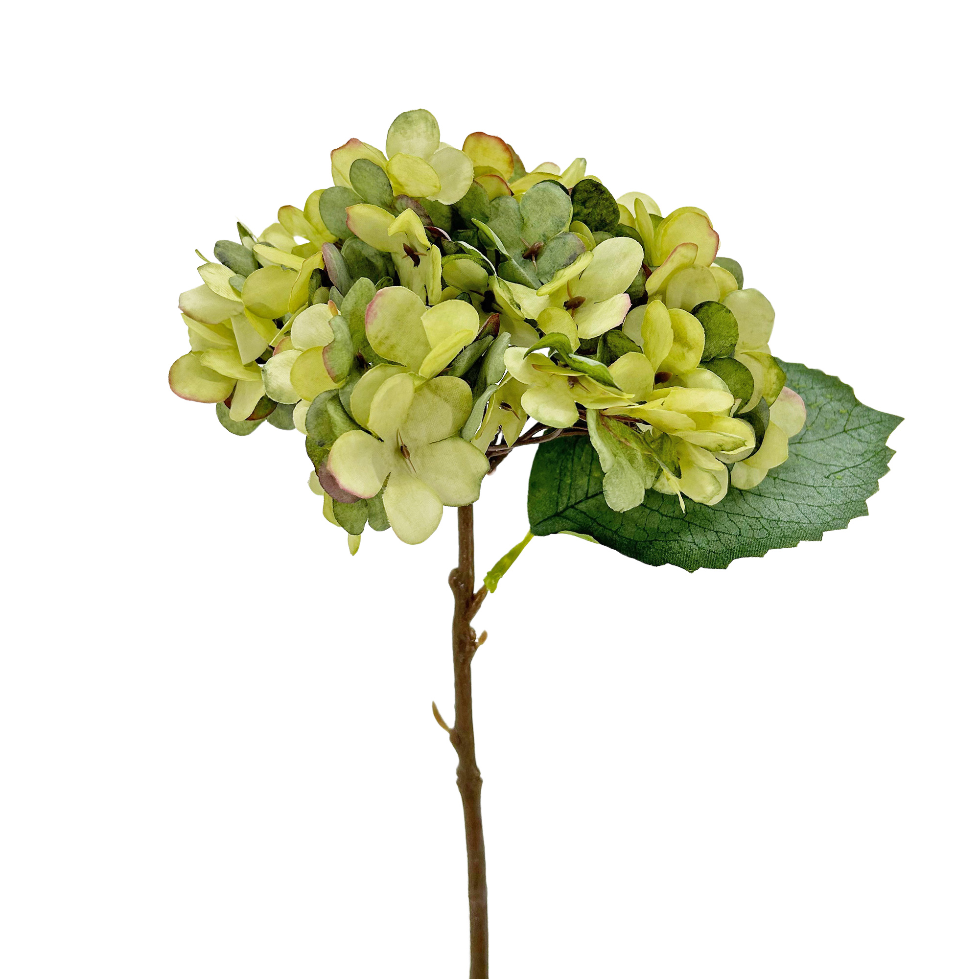 IMG_5914 GNW Green Artificial Hydrangea Silk DH-07 - Image 1